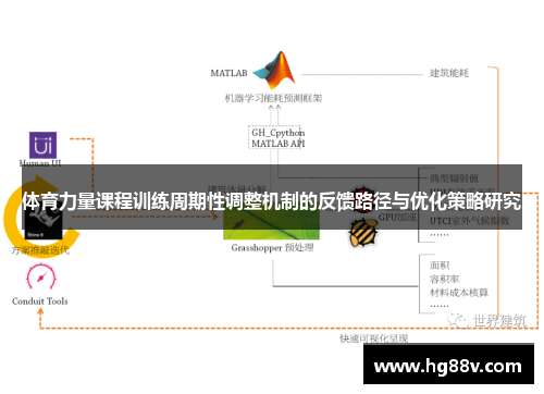 体育力量课程训练周期性调整机制的反馈路径与优化策略研究